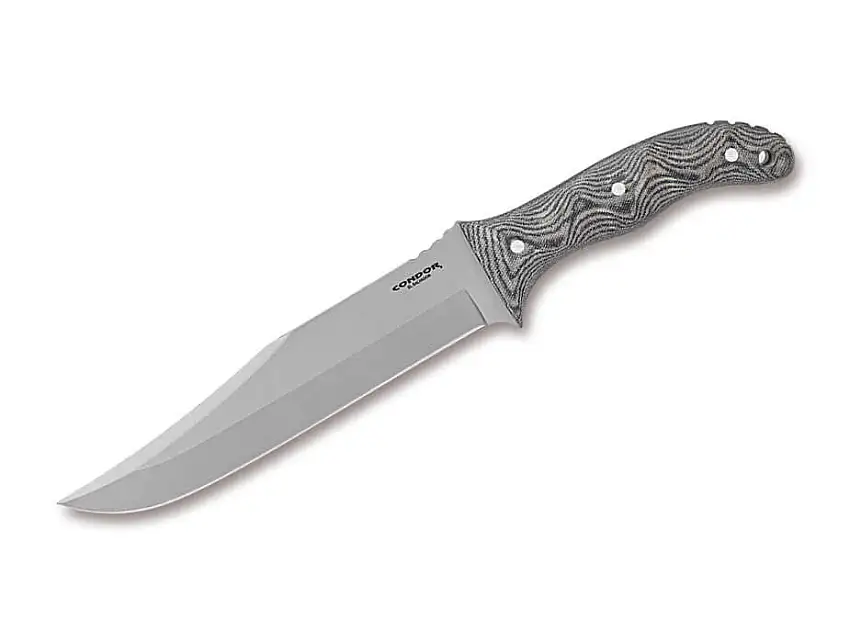Condor Belgian Bowie
