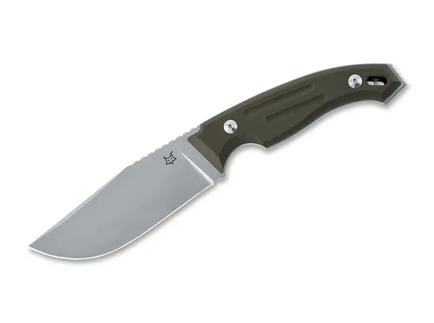 Octopus Vulgaris Green G10