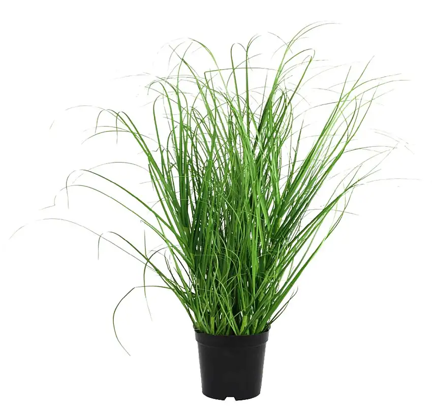 Kunstpflanze Grasbusch H 40 cm NARVIK