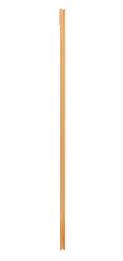 Rahmenspiegel Tanja 50 x 150 cm Holzrahmen Goldfarbig