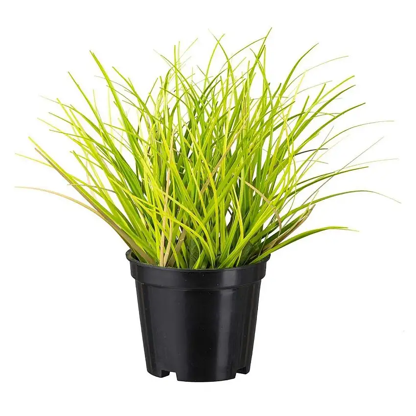 Kunstpflanze Grasbusch H 20 cm HARVIK
