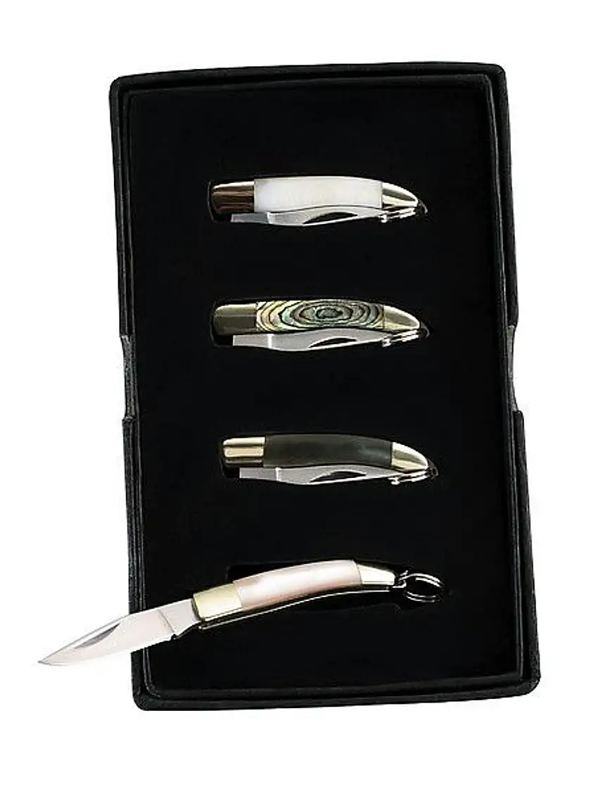 CJH Mini-Messer-Set, 4 Stück 10000333