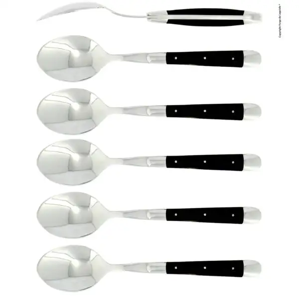 Cuillères à soupe, brillantes en acrylique noir, coffret de 6