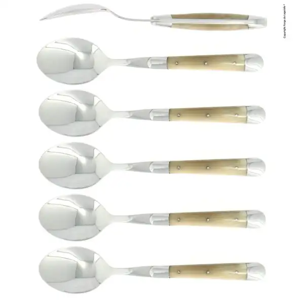 Cuillères à soupe, brillantes en corne claire, coffret de 6