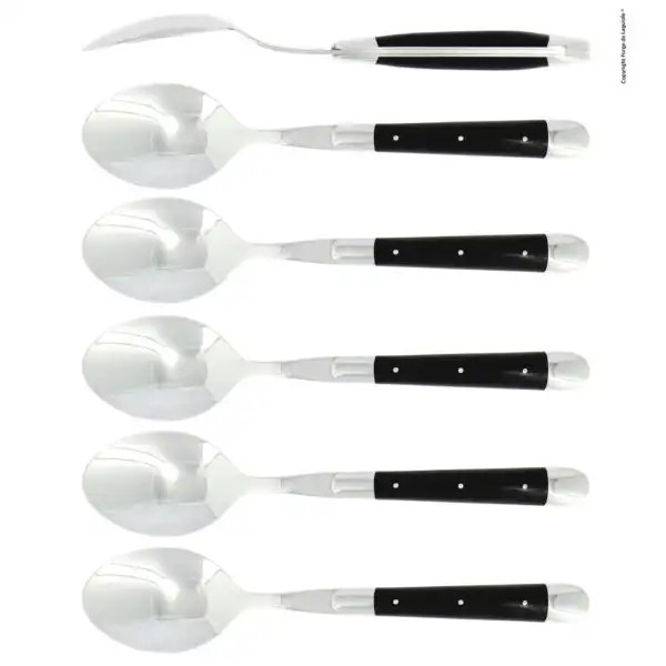 Cuillères à soupe, brillantes en ébène, coffret de 6