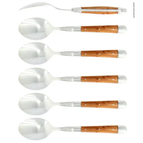 Cuillères à soupe, brillantes en genévrier, coffret de 6