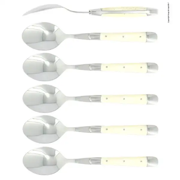 Cuillères à soupe, brillantes en os, coffret de 6