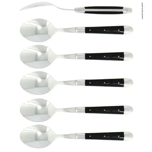 Cuillères à soupe, brillantes en tissu compressé noir, coffret de 6