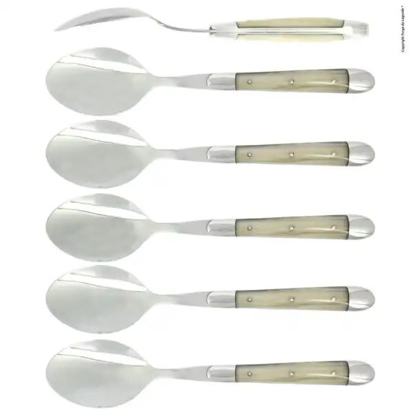 Cuillères à soupe, brillantes en acrylique opalescent, coffret de 6
