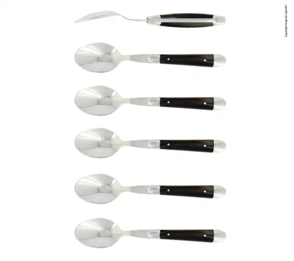 Cuillères à café, brillantes en pointe de corne, coffret de 6
