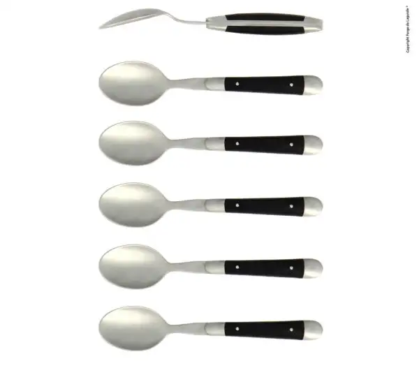 Cuillères à café, satinées en ébène, coffret de 6