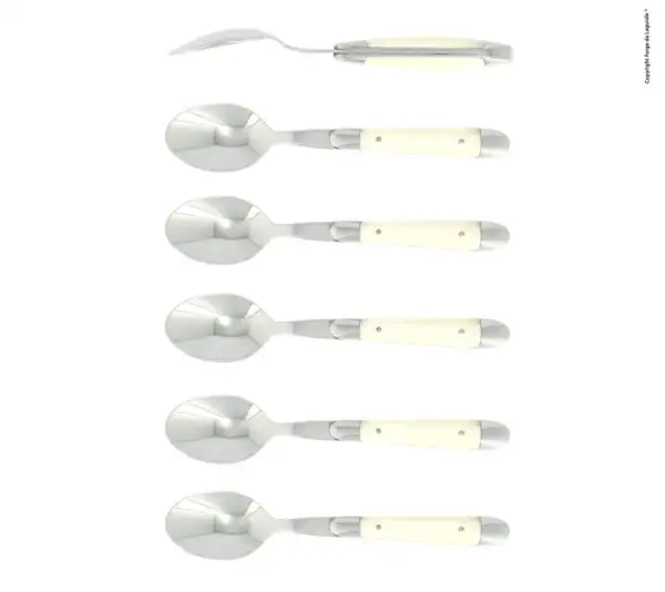 Cuillères à café, brillantes en os, coffret de 6
