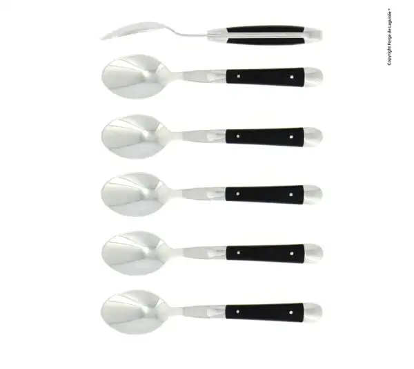 Cuillères à café, brillantes en tissu compressé noir, coffret de 6