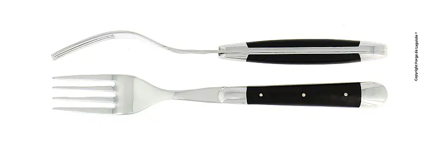 Fourchettes brillantes en ébène, coffret de 2
