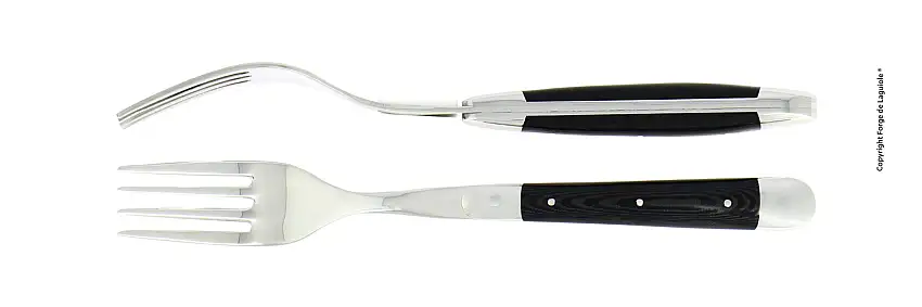 Fourchettes brillantes en tissu compressé noir, coffret de 2