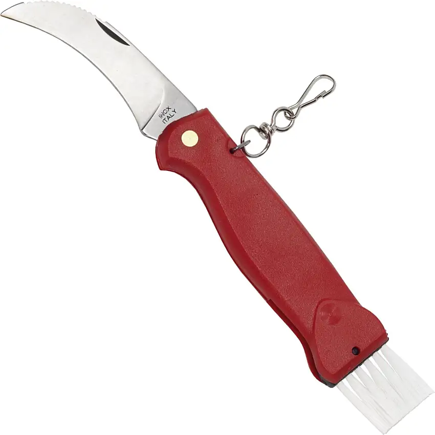 Haller Pilzmesser, Bürste, Maßstab, 11 cm Nr. 70769