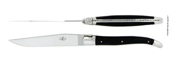 Couteaux de table brillants en Acrylique noir, coffret de 2