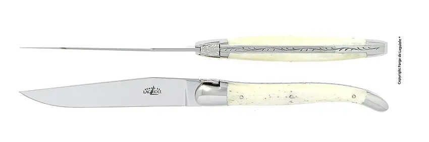 Couteaux de table brillants en os, coffret de 2