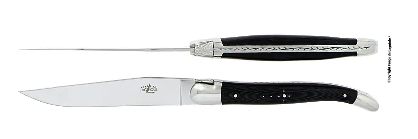 Couteaux de table brillants en tissu compressé noir, coffret de 2