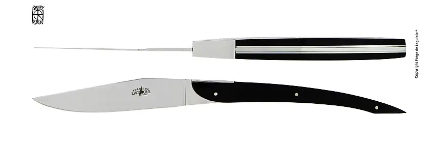 Couteaux de table Laguiole Eric Raffy en acrylique noir, coffret de 2