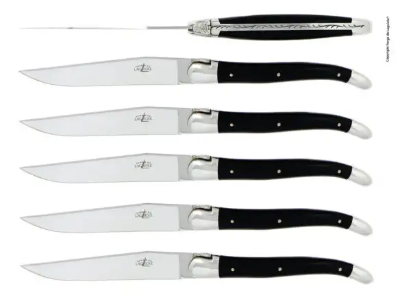 Couteaux de table brillants en Acrylique noir, coffret de 6