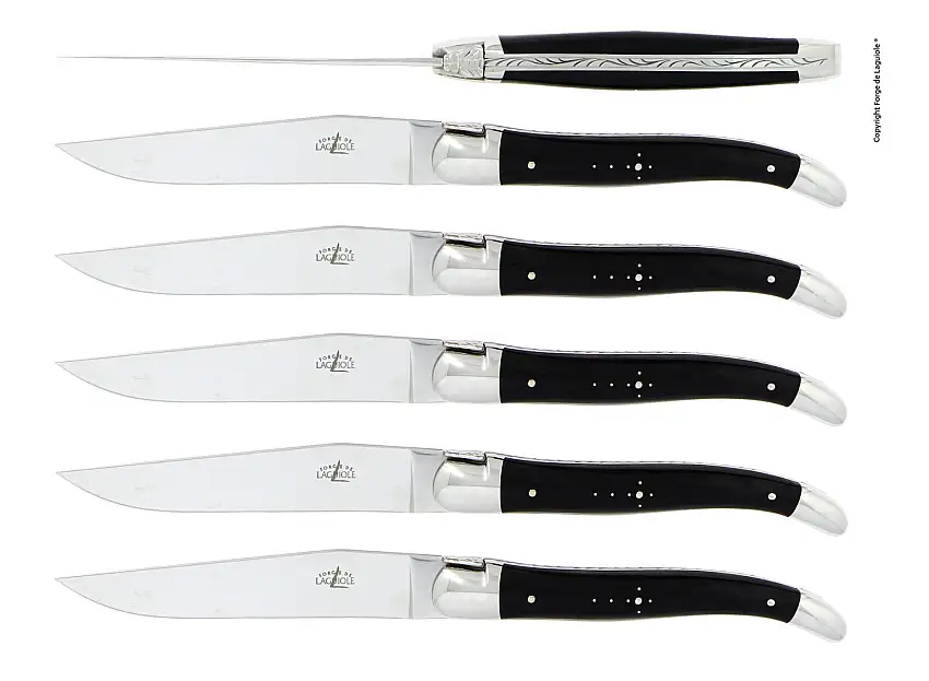 Couteaux de table brillants en corne foncée, coffret de 6