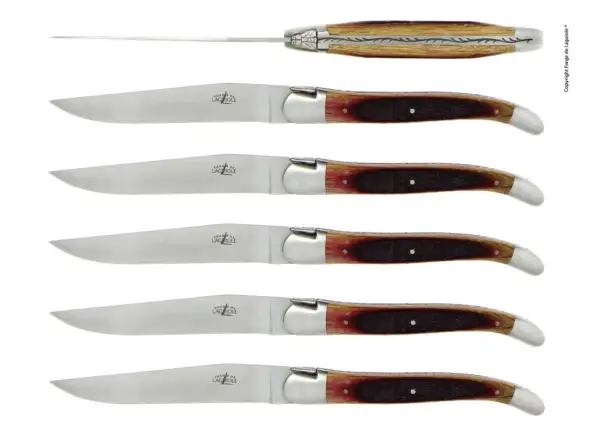 Couteaux de table satinés en chêne de barrique, coffret de 6