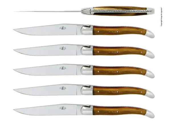 Couteaux de table brillants en pistachier, coffret de 6