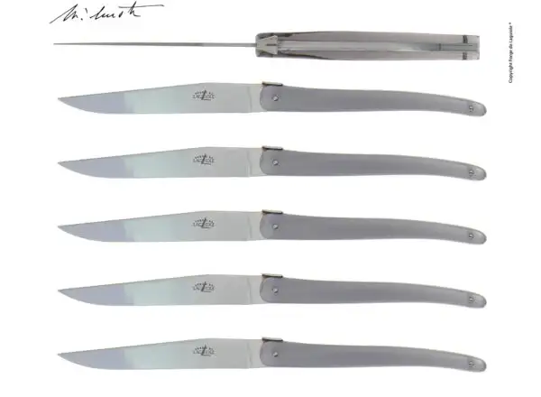 Couteaux de table Jean-Michel Wilmotte en dacryl® Gris, coffret de 6