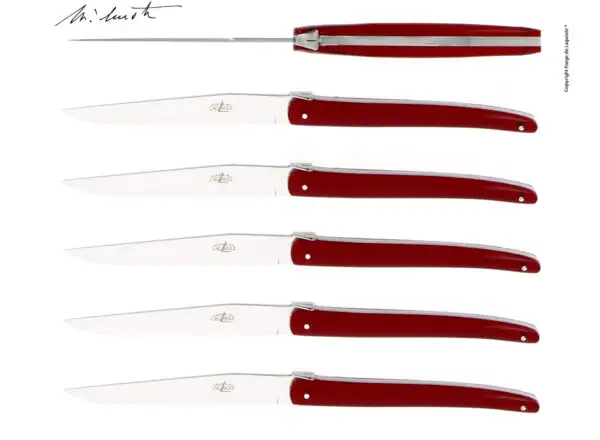 Couteaux de table Jean-Michel Wilmotte en dacryl® Lie de Vin, coffret de 6