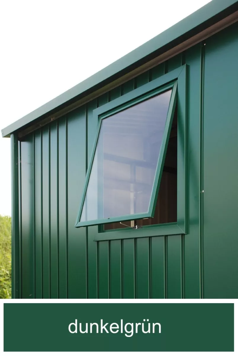 Biohort Fenster-Element für Gerätehaus Europa, dunkelgrün