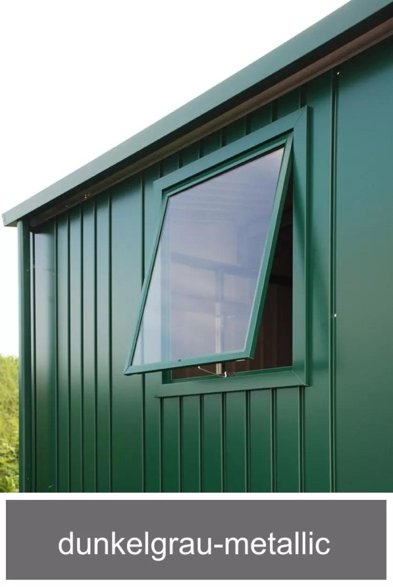 Biohort Fenster-Element für Gerätehaus Europa, dunkelgrau-metallic