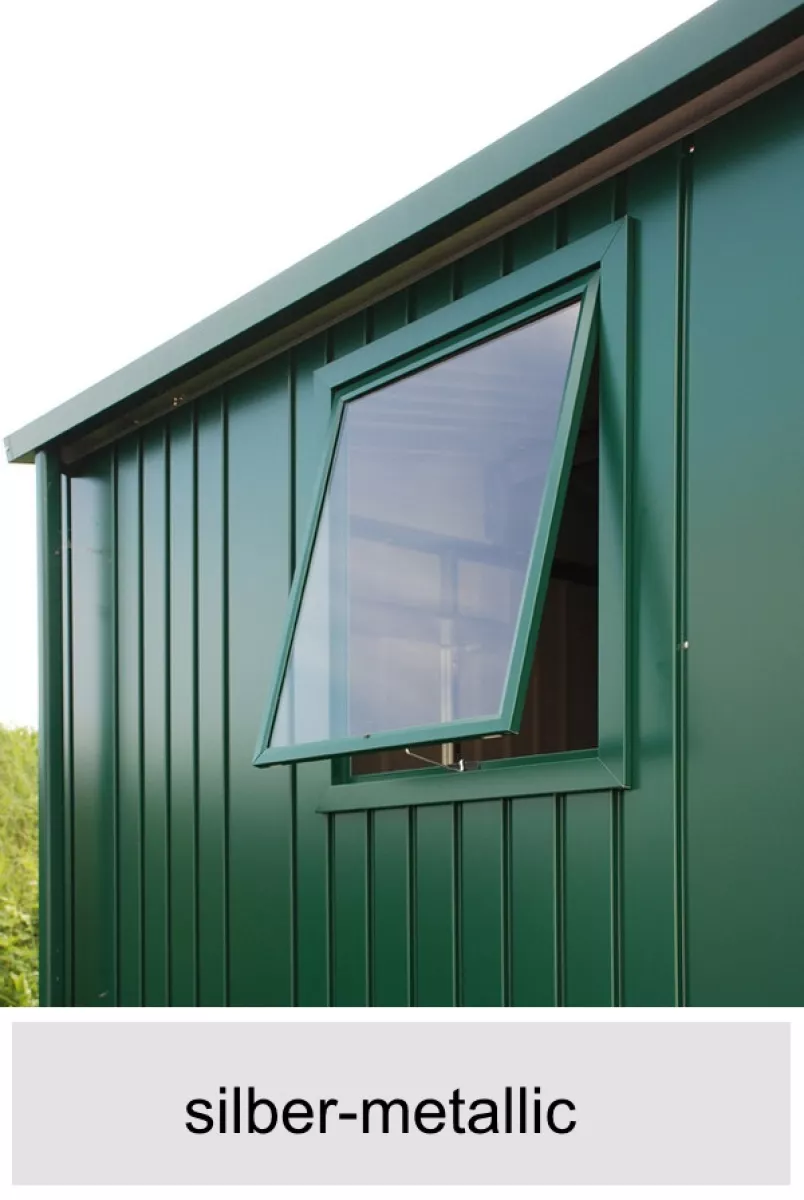 Biohort Fenster-Element für Gerätehaus Europa, silber-metallic