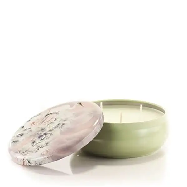 Ashleigh & Burwood Duftkerze in der Dose 230 g Matcha Green Tea