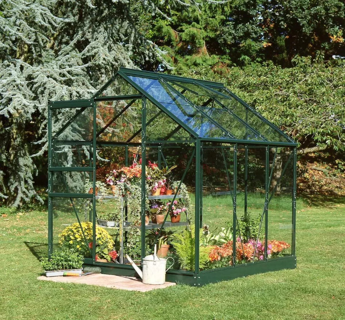 Halls Gewächshaus Popular 3,8 m² Grün mit 3 mm Blankglas