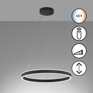 Fischer & Honsel LED Pendellampe Sirko Schwarz