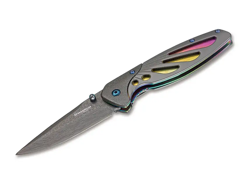 Rainbow Odonata
