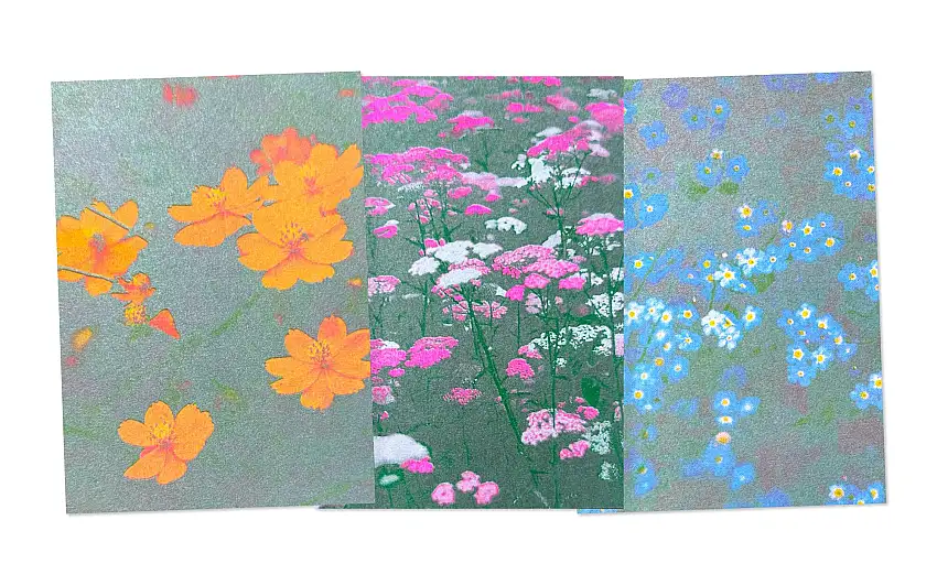 Postkarten-Set Riso