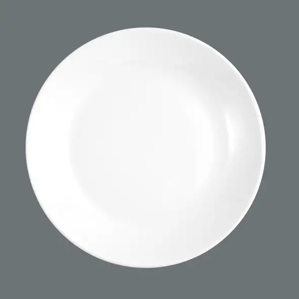 Seltmann Weiden, Meran, Steak & More - Teller flach rund 5209, weiss, uni, 25,5 cm